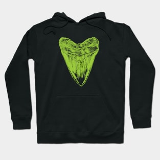 Fossil Megalodon tooth  - ideal gift for those that love Megalodons Hoodie